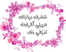 8 رقم مجموعة الصور