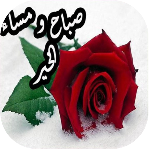 12 رقم مجموعة الصور