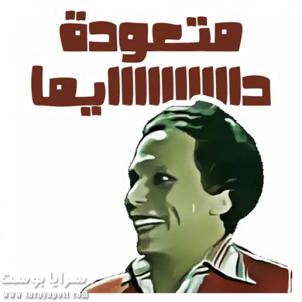11 رقم مجموعة الصور