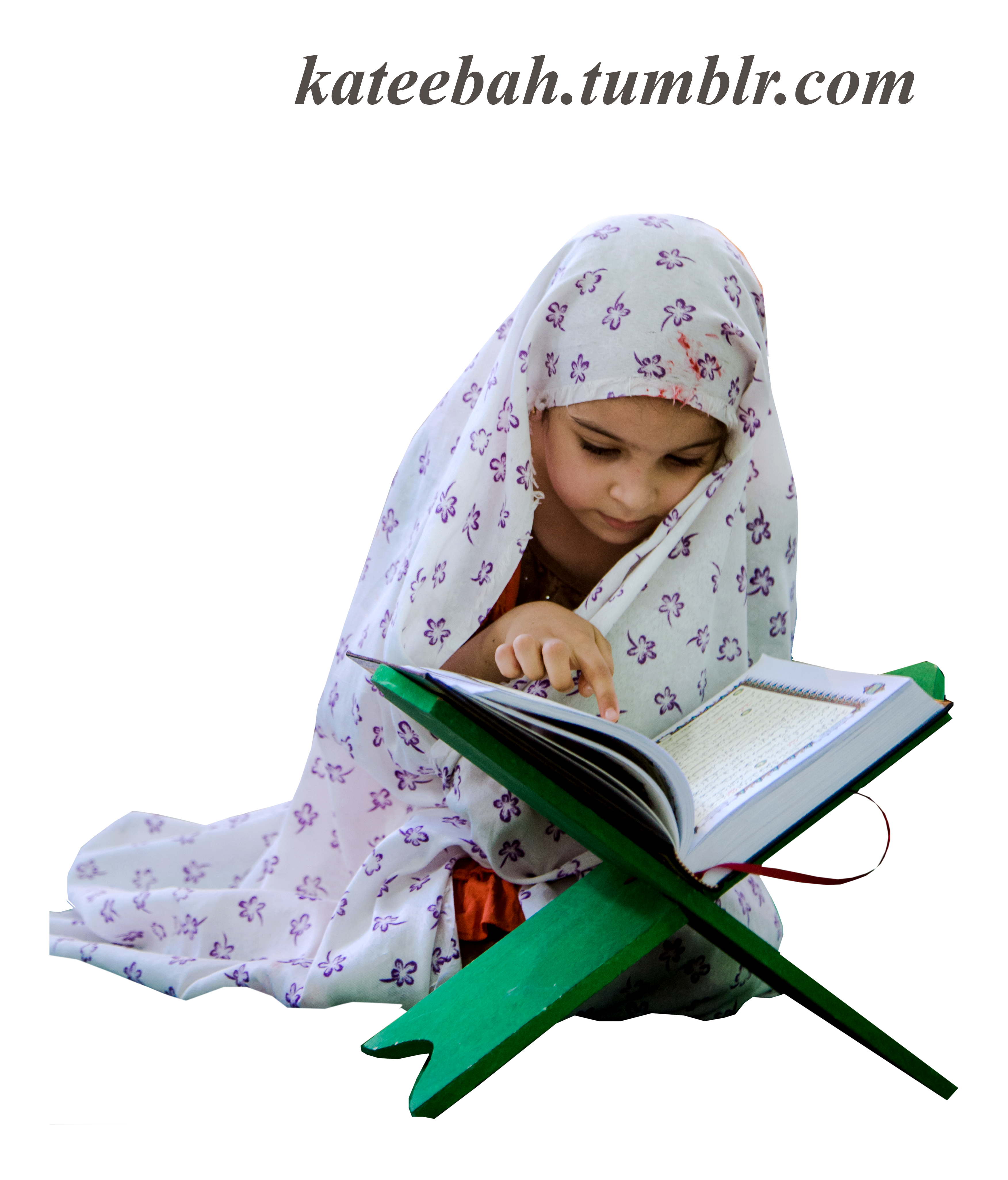 12 رقم مجموعة الصور