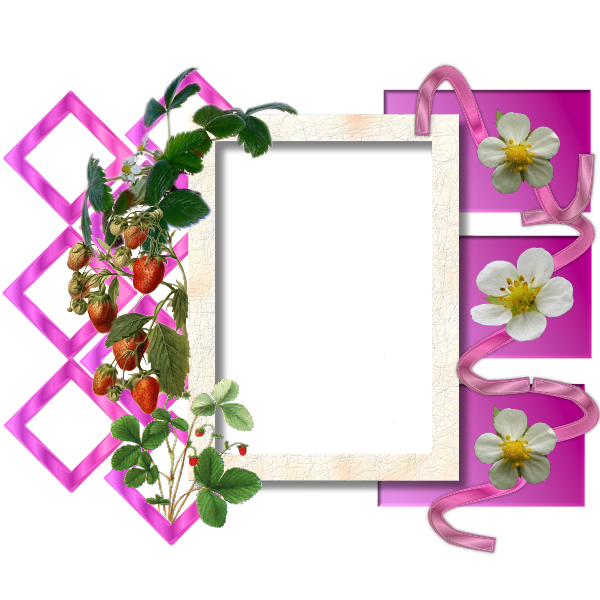 4 رقم مجموعة الصور