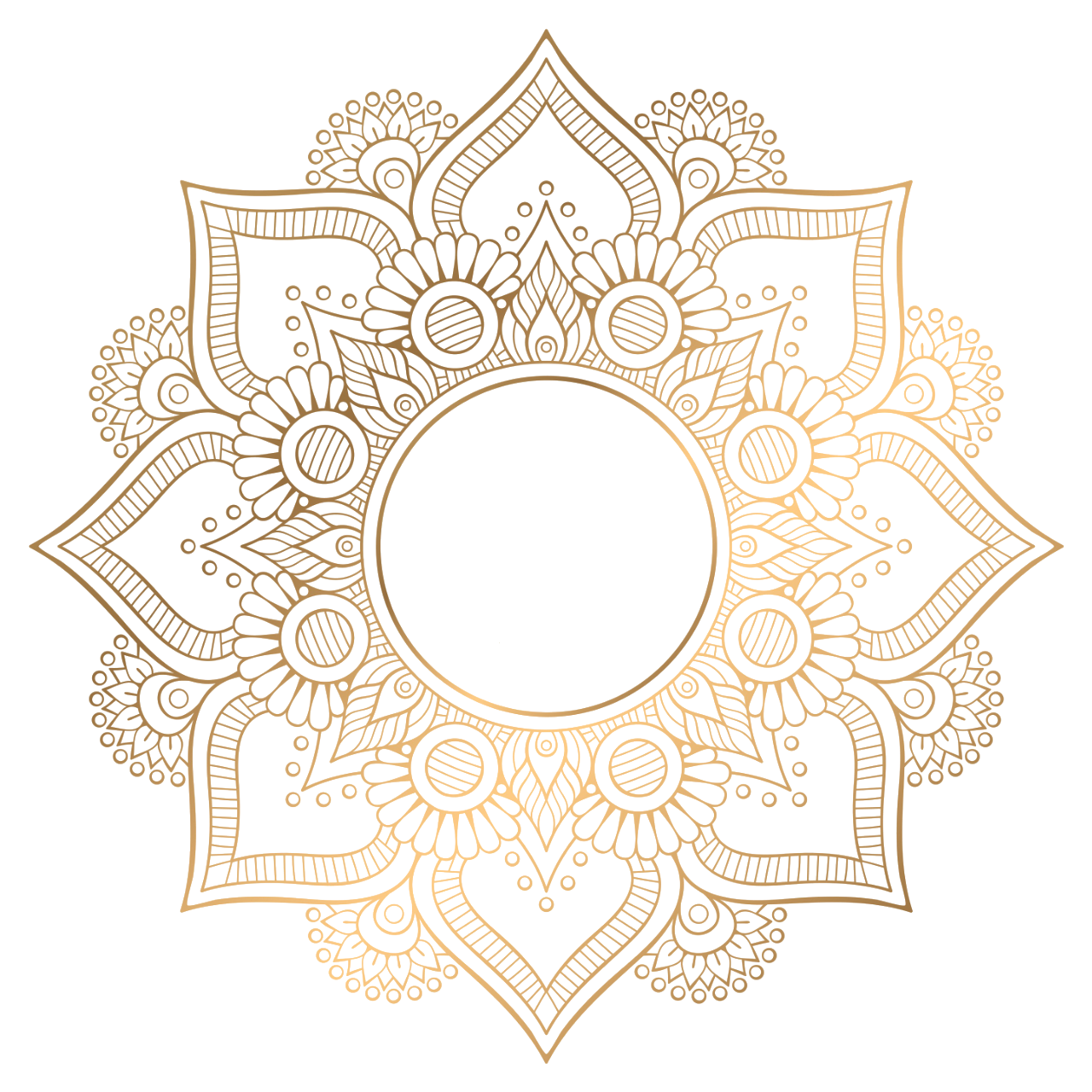 12 رقم مجموعة الصور