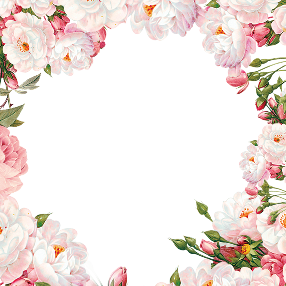 9 رقم مجموعة الصور