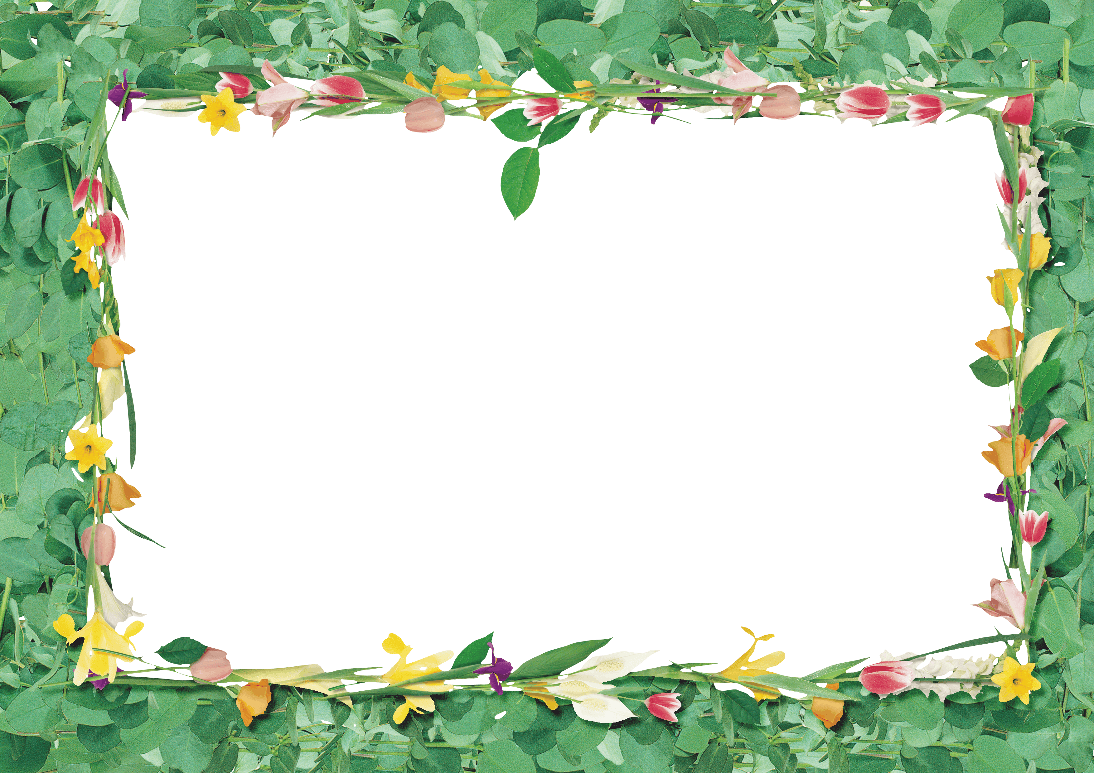 3 رقم مجموعة الصور