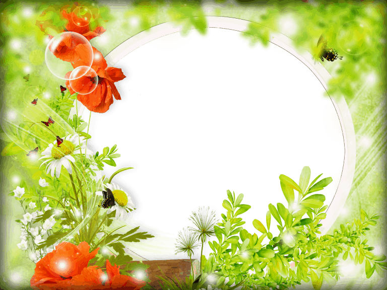 4 رقم مجموعة الصور