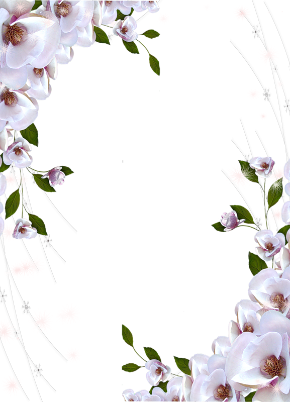 12 رقم مجموعة الصور