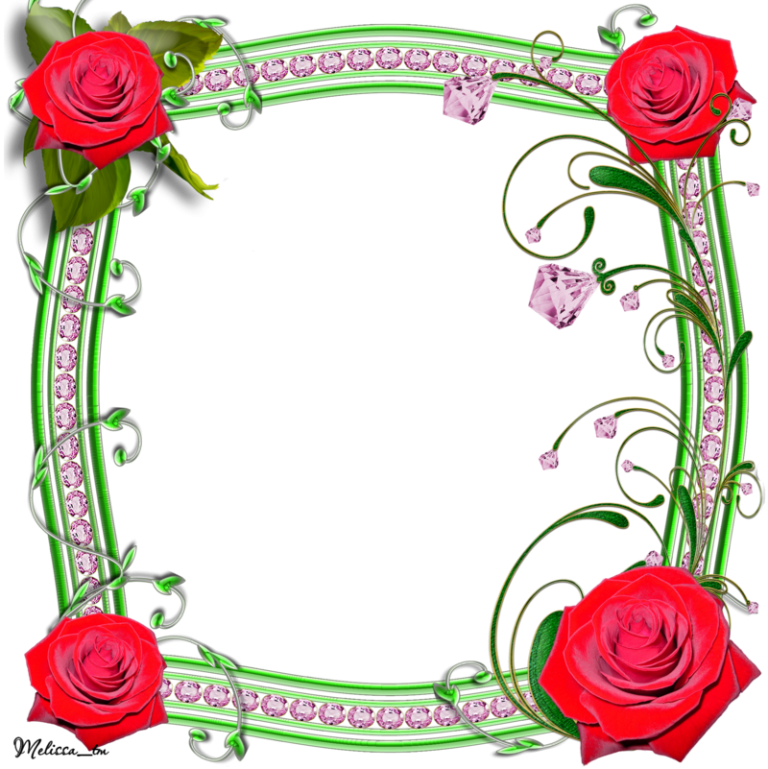 3 رقم مجموعة الصور