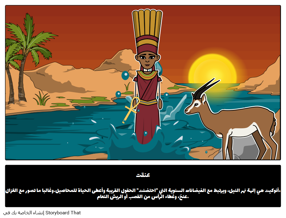8 رقم مجموعة الصور