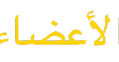 13 رقم مجموعة الصور