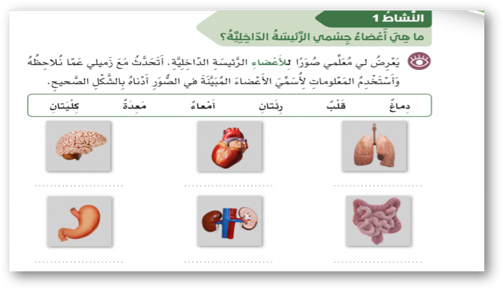4 رقم مجموعة الصور