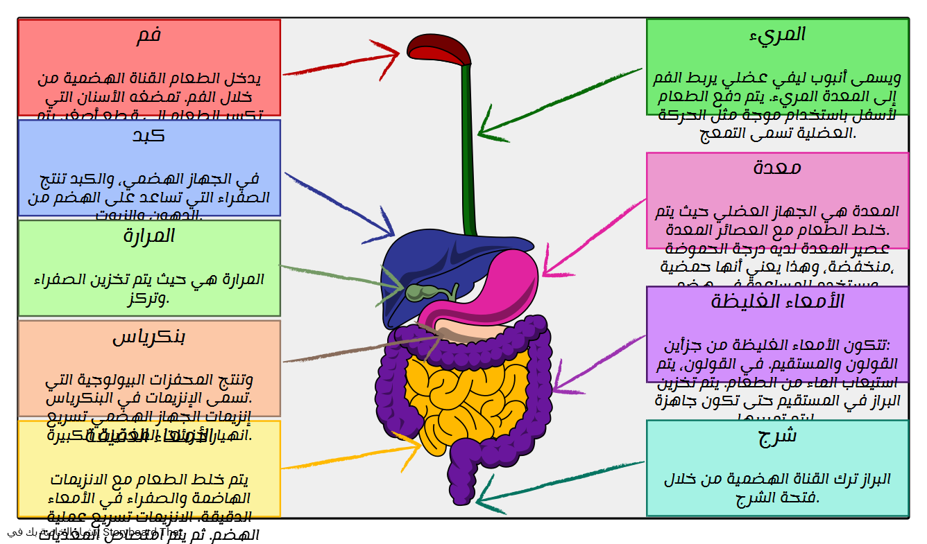 6 رقم مجموعة الصور