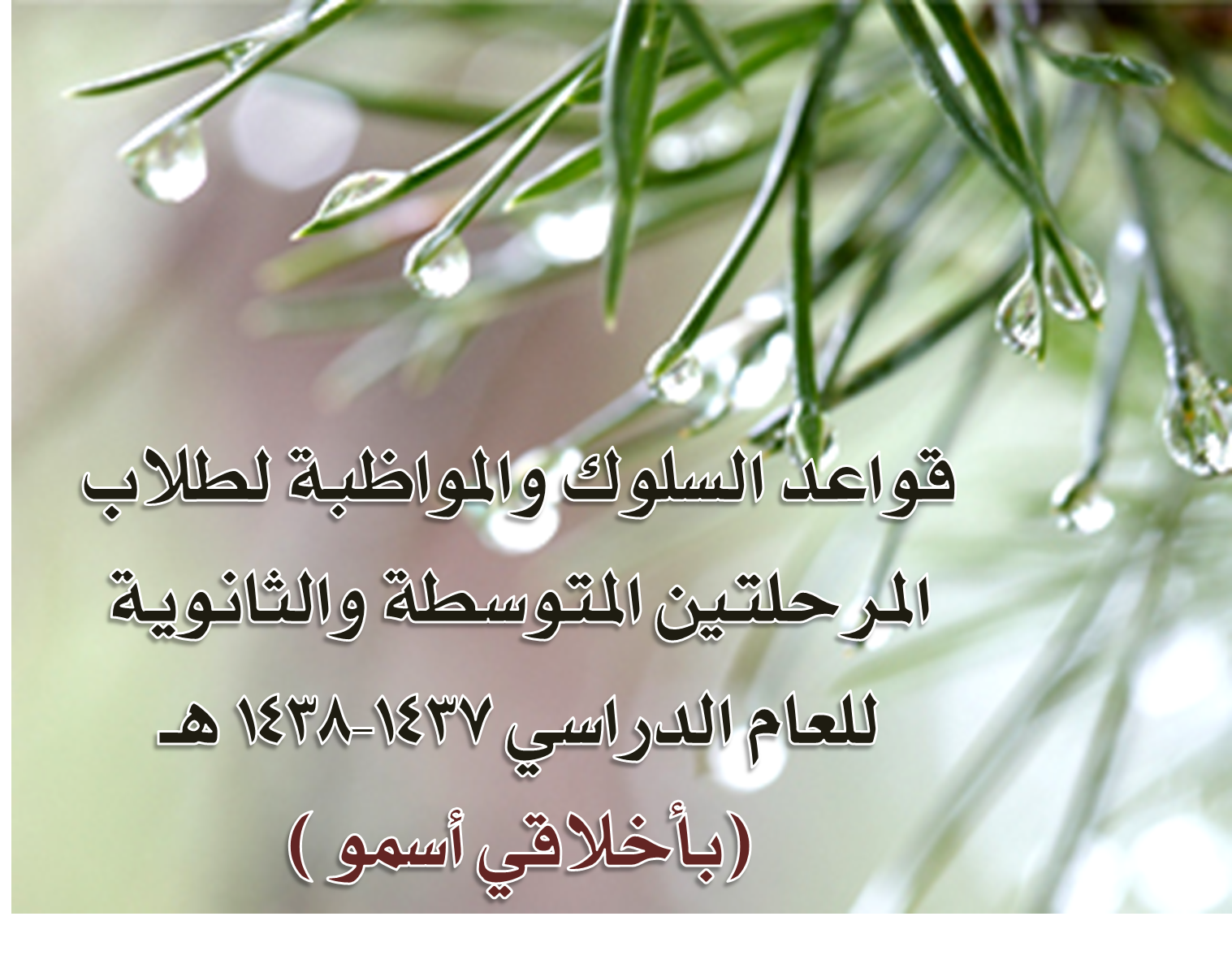 15 رقم مجموعة الصور