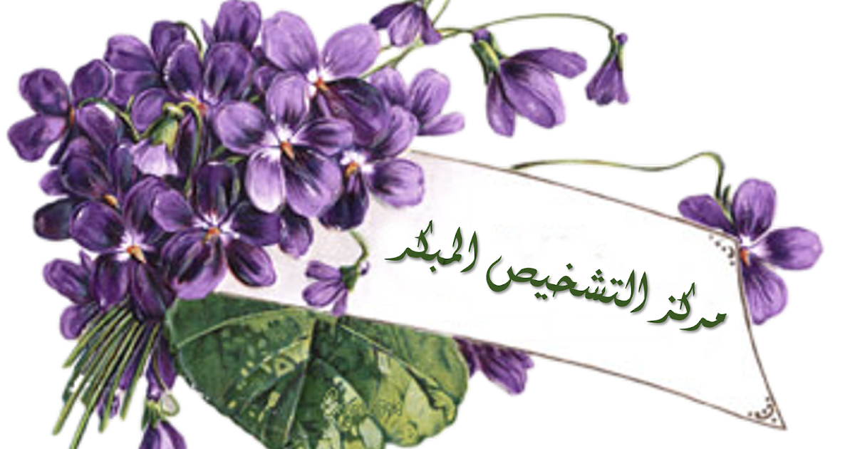 8 رقم مجموعة الصور