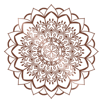 6 رقم مجموعة الصور