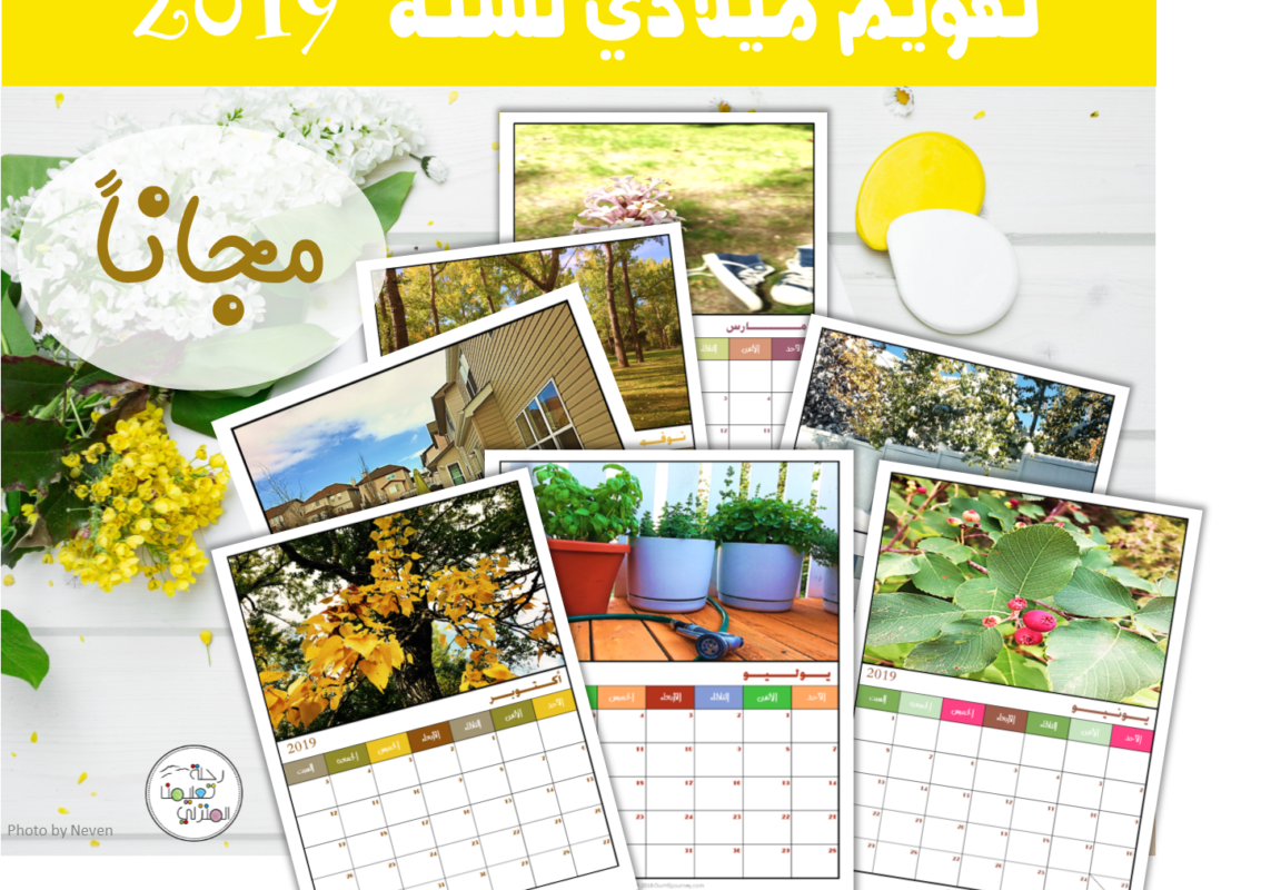 7 رقم مجموعة الصور