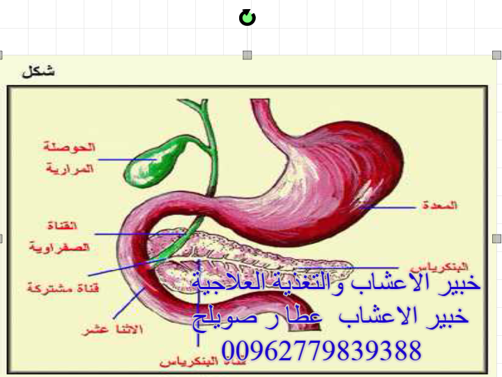 4 رقم مجموعة الصور