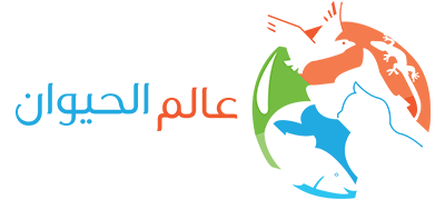 14 رقم مجموعة الصور