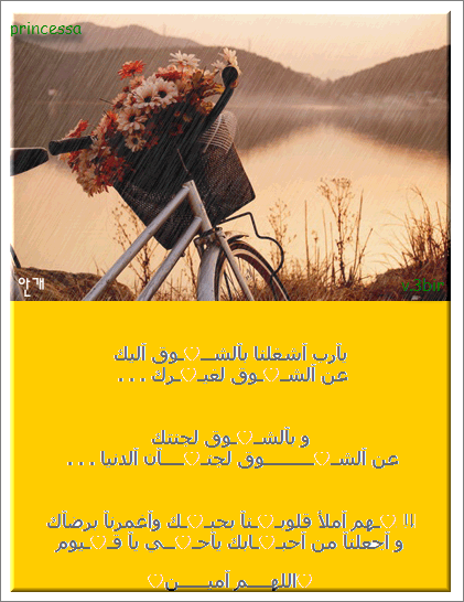 12 رقم مجموعة الصور