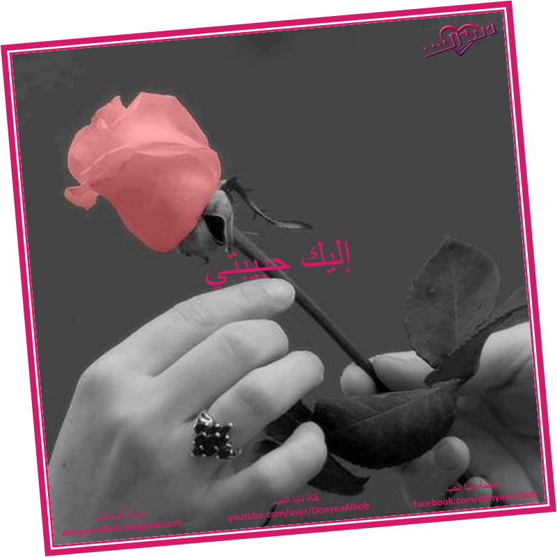 9 رقم مجموعة الصور