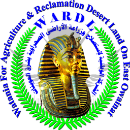 8 رقم مجموعة الصور