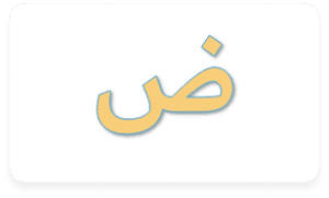 13 رقم مجموعة الصور