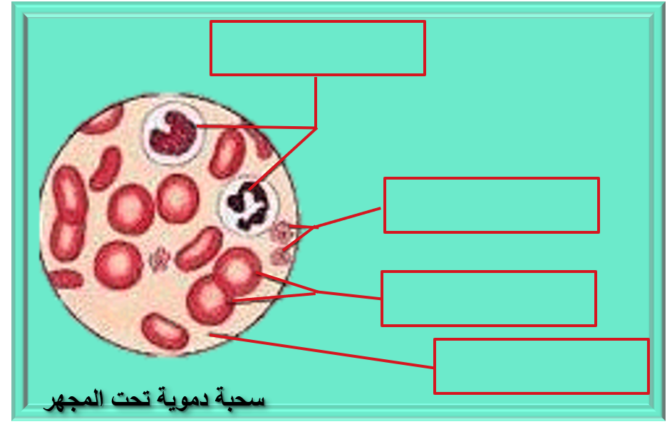 6 رقم مجموعة الصور