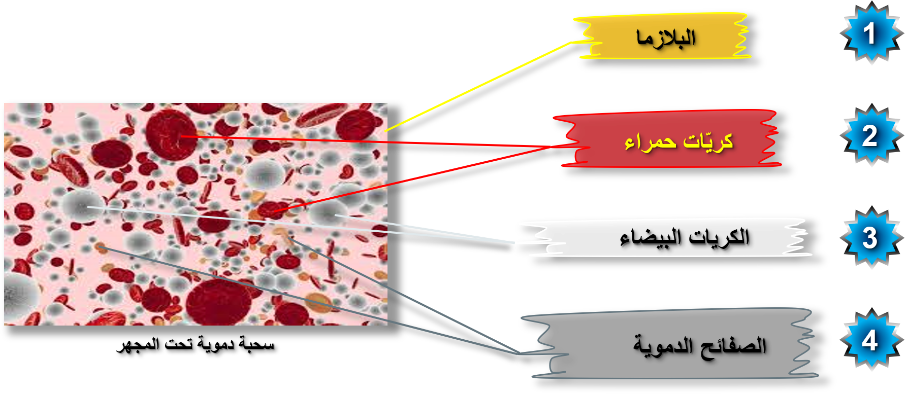 8 رقم مجموعة الصور