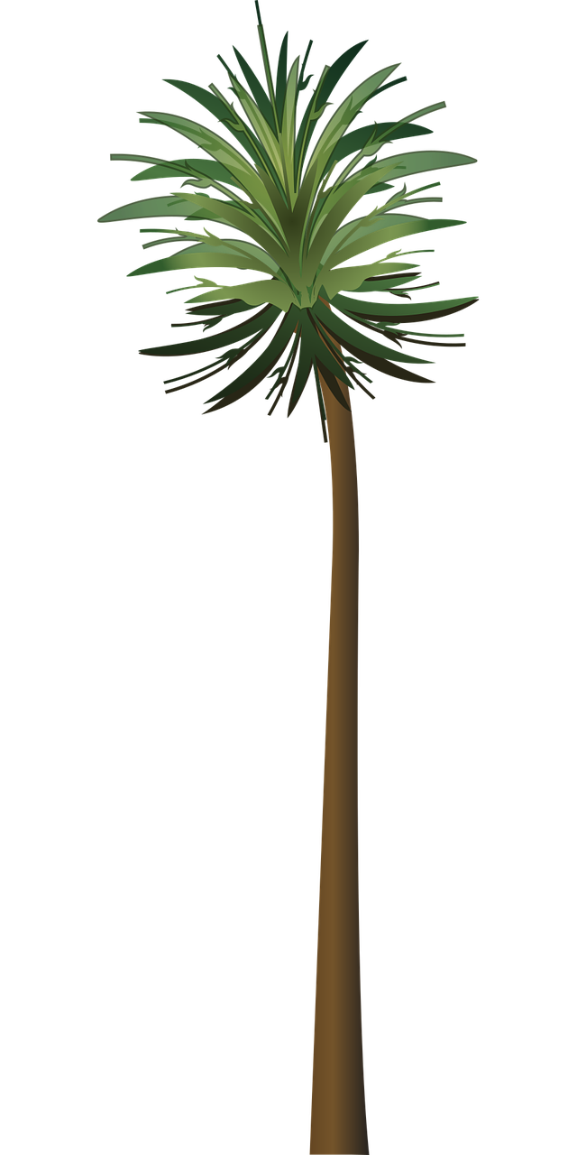 12 رقم مجموعة الصور