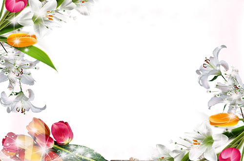 13 رقم مجموعة الصور