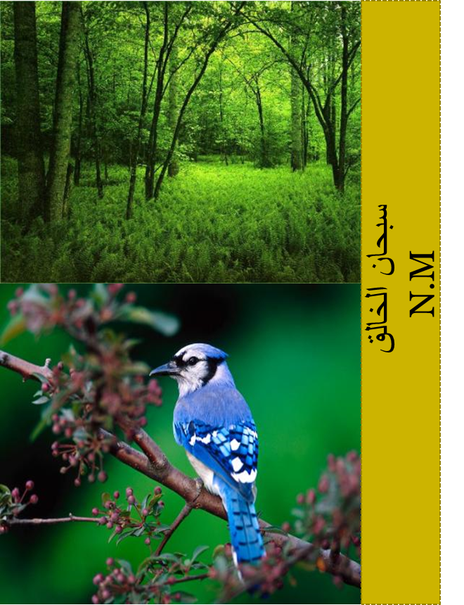 صورة الطبيعه - KibrisPDR