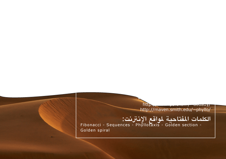 12 رقم مجموعة الصور