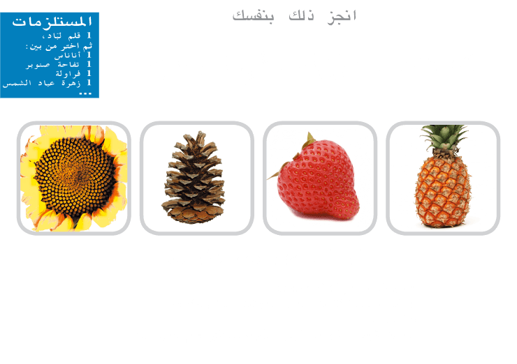 13 رقم مجموعة الصور