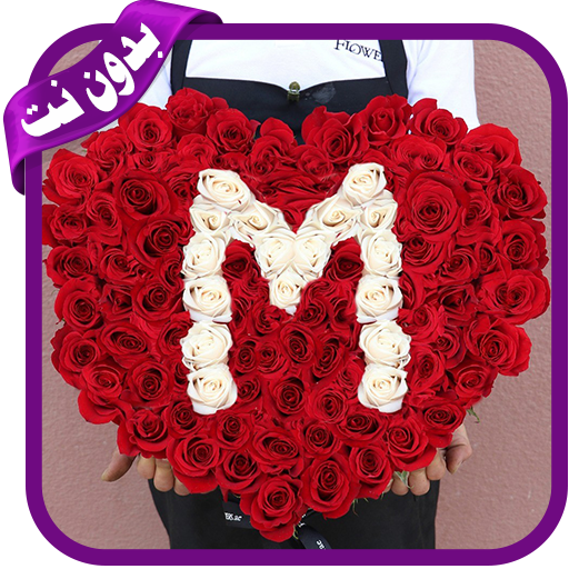 6 رقم مجموعة الصور