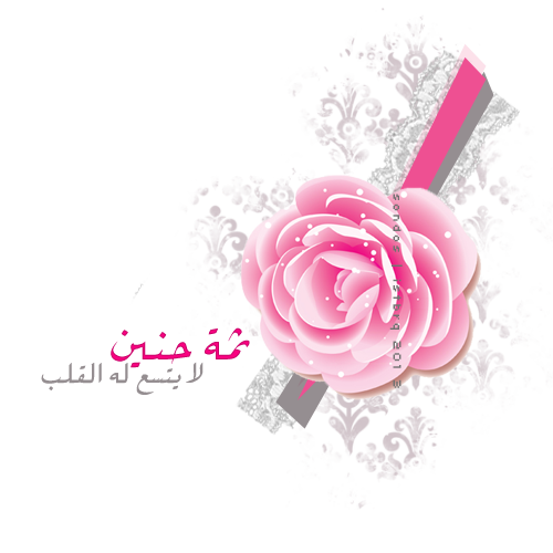 4 رقم مجموعة الصور