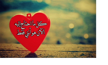 11 رقم مجموعة الصور