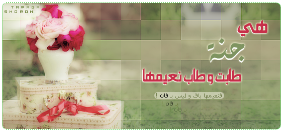 16 رقم مجموعة الصور