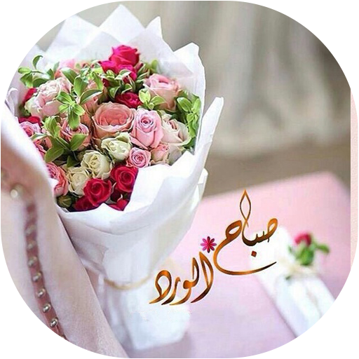 12 رقم مجموعة الصور