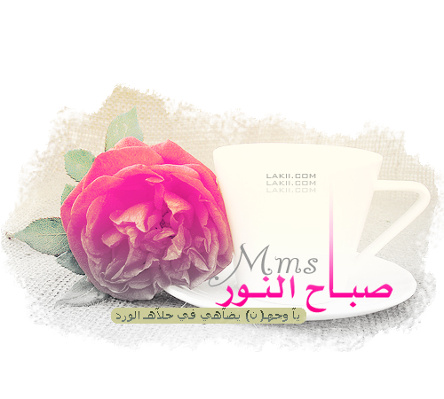 17 رقم مجموعة الصور
