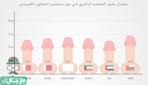 صورة عضو ذكري - KibrisPDR