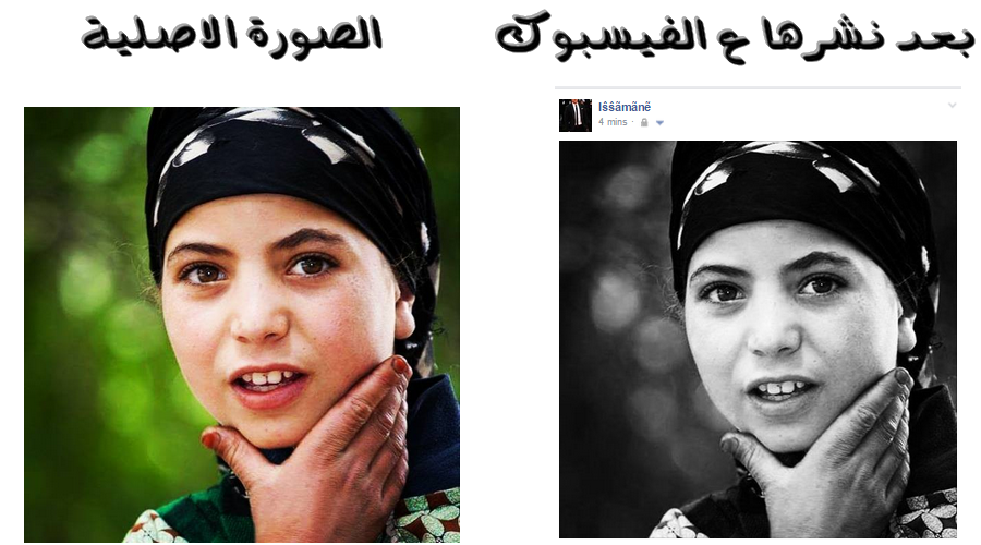 6 رقم مجموعة الصور