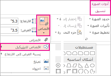 3 رقم مجموعة الصور
