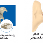 8 رقم مجموعة الصور