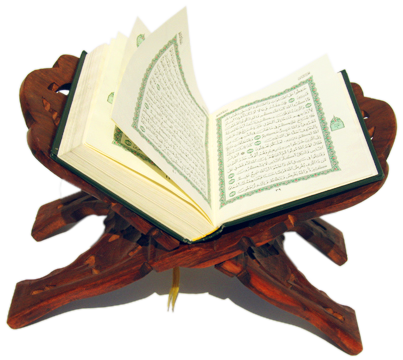 11 رقم مجموعة الصور