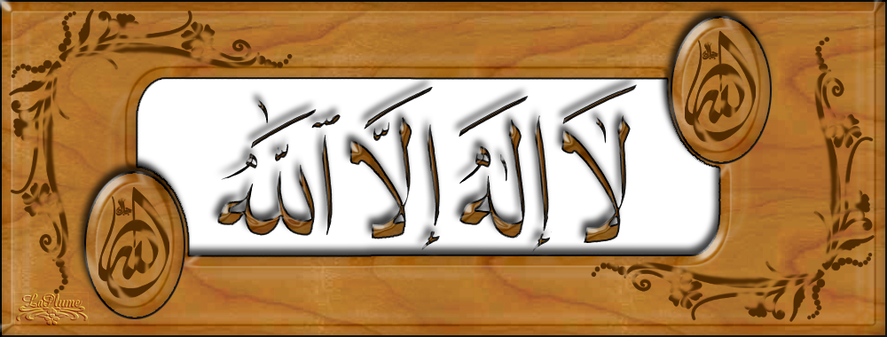 8 رقم مجموعة الصور