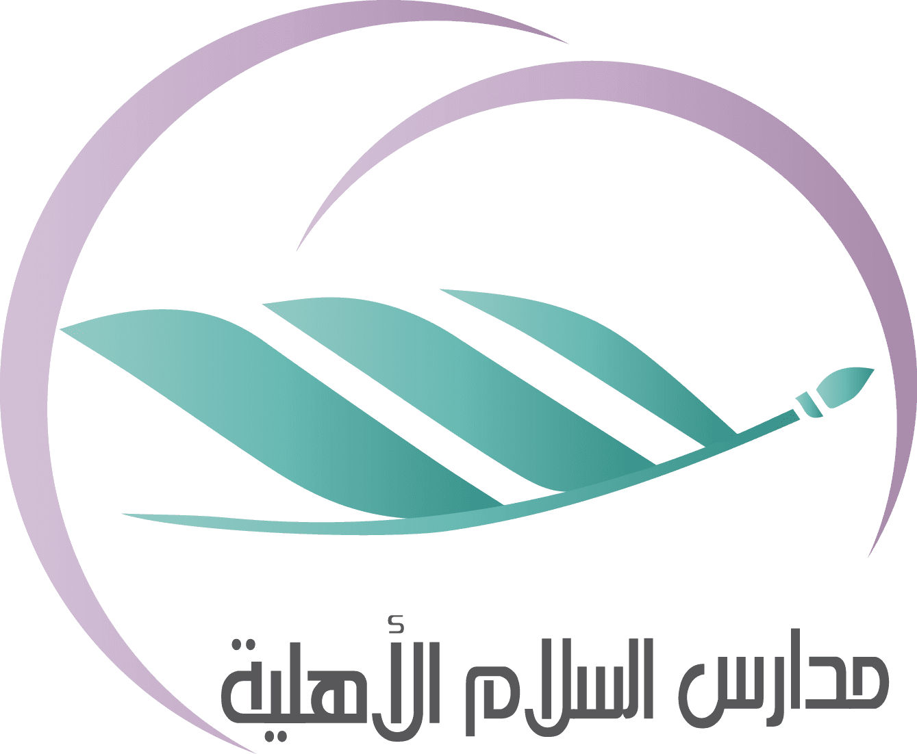 11 رقم مجموعة الصور