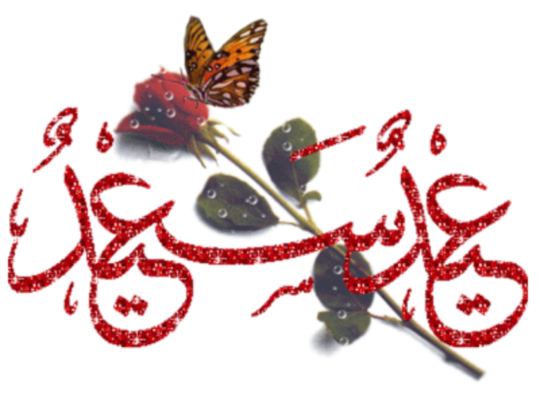 7 رقم مجموعة الصور