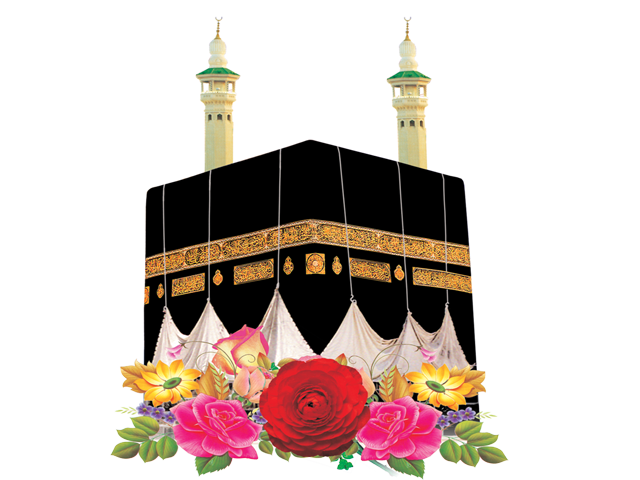 4 رقم مجموعة الصور