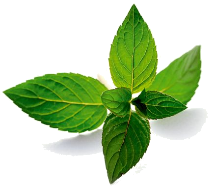 3 رقم مجموعة الصور