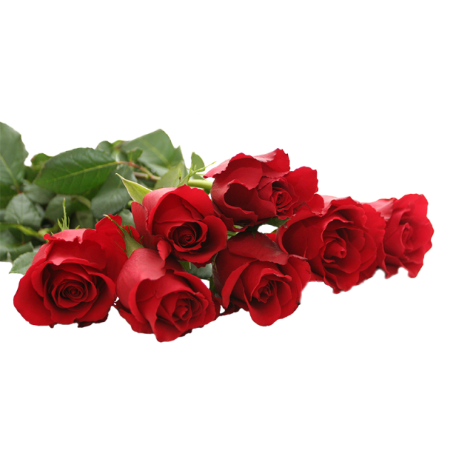 5 رقم مجموعة الصور