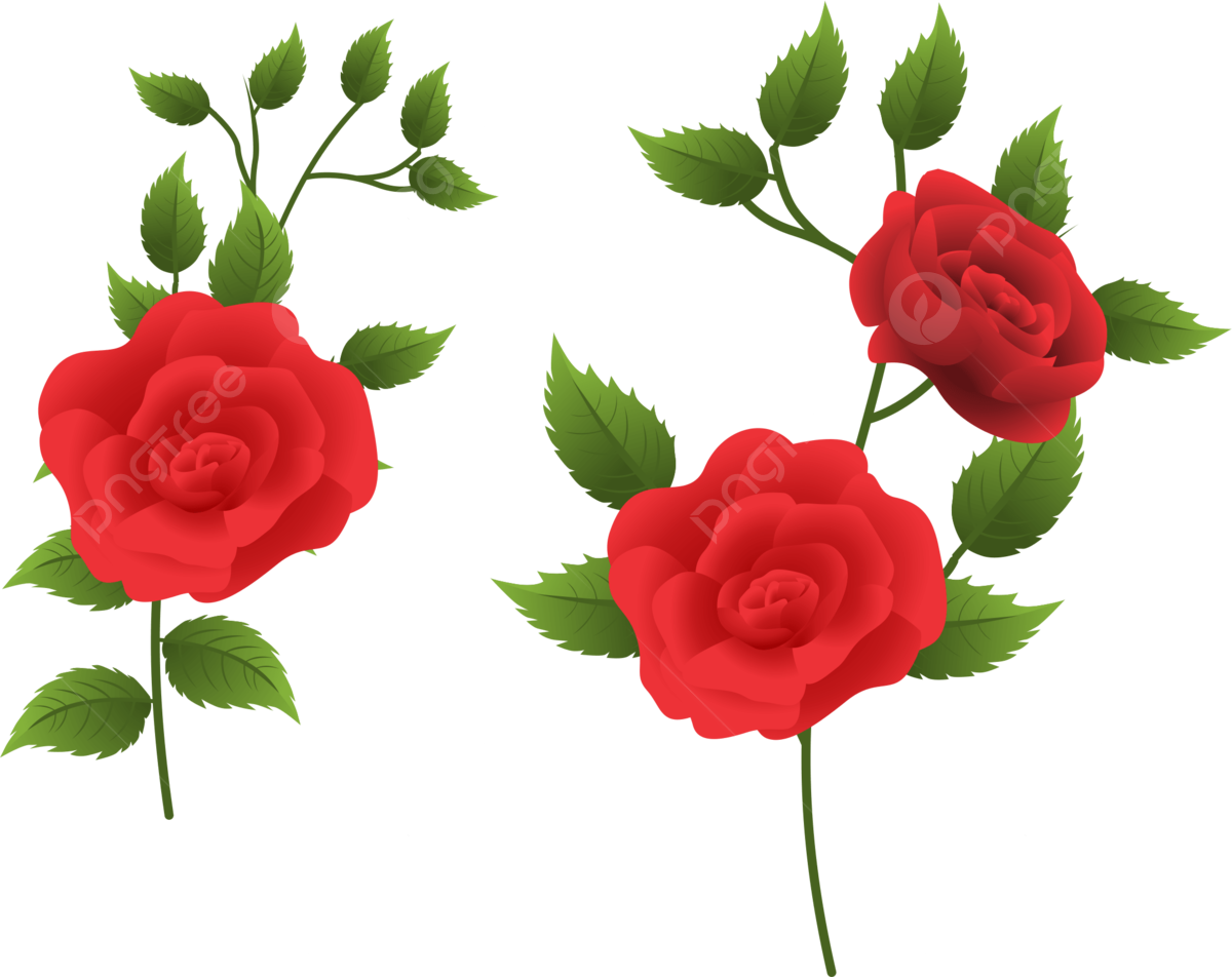 8 رقم مجموعة الصور
